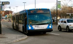 Nearly 500 STM buses are to be auctioned off to recyclers.